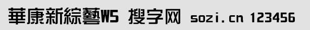华康新综艺体W5