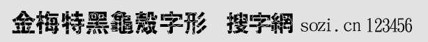 金梅特黑龟壳字形