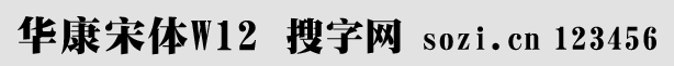 华康宋体W12-GB5