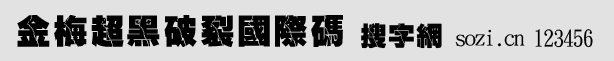 金梅超黑破裂国际码