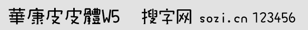 华康皮皮体W5