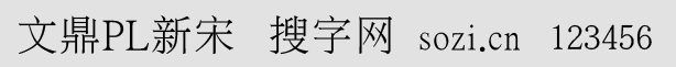 文鼎PL新宋