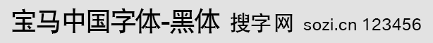 宝马中国黑体