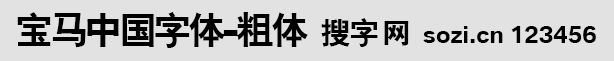 宝马中国粗体