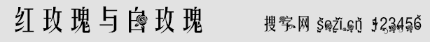 红玫瑰与白玫瑰字体