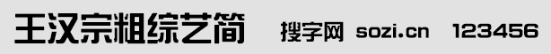 王汉宗粗综艺简