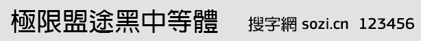 极限盟途黑中等体