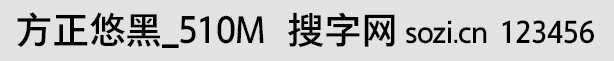 方正悠黑_510M