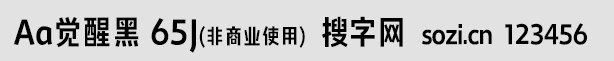 Aa觉醒黑 65J