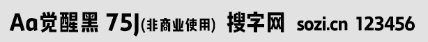 Aa觉醒黑 75J