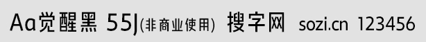 Aa觉醒黑 55J