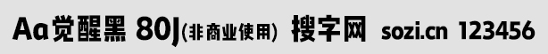 Aa觉醒黑 80J