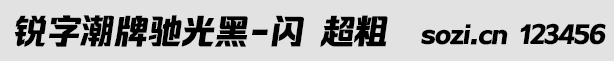 锐字潮牌驰光黑-闪 超粗