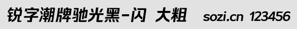 锐字潮牌驰光黑-闪 大粗