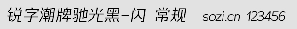 锐字潮牌驰光黑-闪 常规