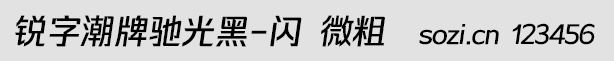 锐字潮牌驰光黑-闪 微粗