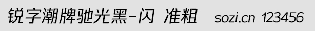锐字潮牌驰光黑-闪 准粗
