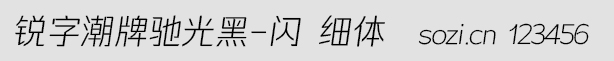 锐字潮牌驰光黑-闪 细体