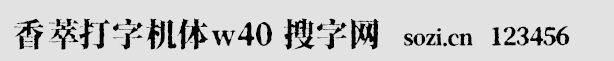 ʹֻw40