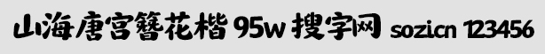 ɽƹ 95w