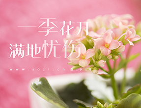 一季花开 满地忧伤